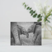 最も可愛い赤ん坊の動物 |ベビーゾウの挨拶 ポストカード (スタンド正面)