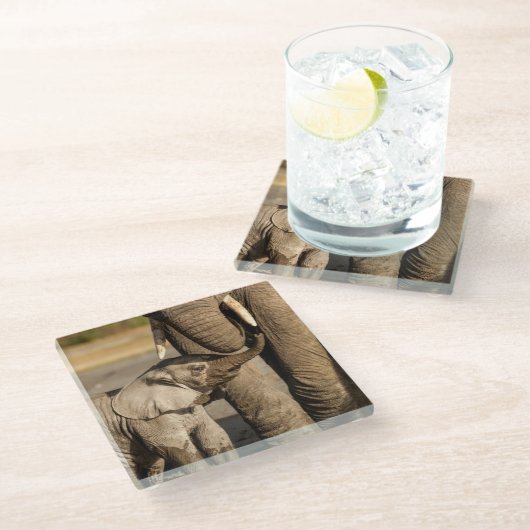 最も可愛い赤ん坊の動物 |ベビーゾウ&ママ ガラスコースター (アングル)