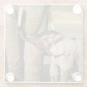 最も可愛い赤ん坊の動物 |ベビーゾウ&ママ ガラスコースター (裏面)