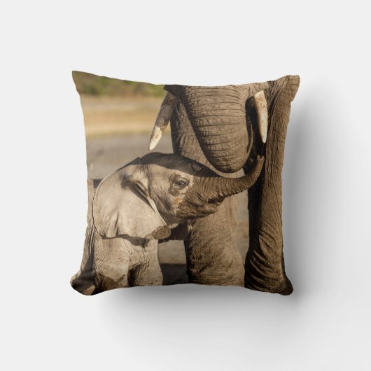 最も可愛い赤ん坊の動物 |ベビーゾウ&ママ クッション (正面)