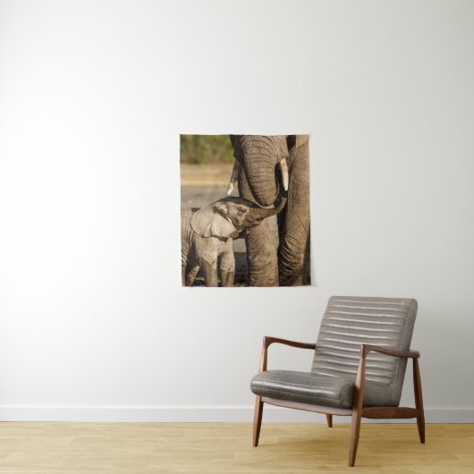 最も可愛い赤ん坊の動物 |ベビーゾウ&ママ タペストリー (インサイチュ)