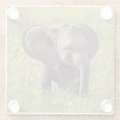 最も可愛い赤ん坊の動物 |ベビーゾウKenya Africa ガラスコースター (裏面)