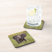 最も可愛い赤ん坊の動物 |ベビーゾウKenya Africa コースター (右側)
