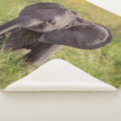 最も可愛い赤ん坊の動物 |ベビーゾウKenya Africa シェルパブランケット (3/4)