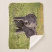 最も可愛い赤ん坊の動物 |ベビーゾウKenya Africa シェルパブランケット (正面)