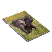 最も可愛い赤ん坊の動物 |ベビーゾウKenya Africa ノートブック (右側)