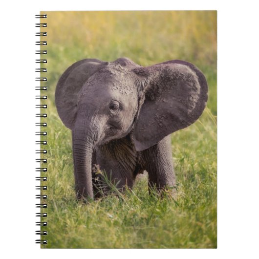 最も可愛い赤ん坊の動物 |ベビーゾウKenya Africa ノートブック (正面)