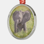最も可愛い赤ん坊の動物 |ベビーゾウKenya Africa メタルオーナメント (左)