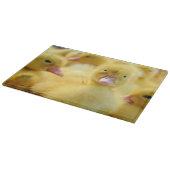 最も可愛い赤ん坊の動物 |ベビーダックグループ カッティングボード (角)