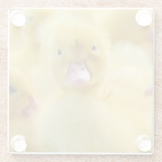 最も可愛い赤ん坊の動物 |ベビーダックグループ ガラスコースター (裏面)