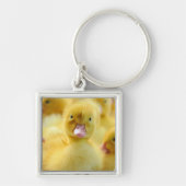 最も可愛い赤ん坊の動物 |ベビーダックグループ キーホルダー (正面)