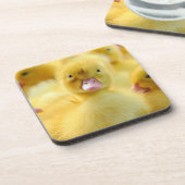 最も可愛い赤ん坊の動物 |ベビーダックグループ コースター (左側)