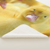 最も可愛い赤ん坊の動物 |ベビーダックグループ シェルパブランケット (3/4)