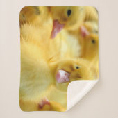 最も可愛い赤ん坊の動物 |ベビーダックグループ シェルパブランケット (正面)