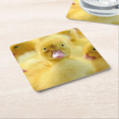 最も可愛い赤ん坊の動物 |ベビーダックグループ スクエアペーパーコースター (アングル)