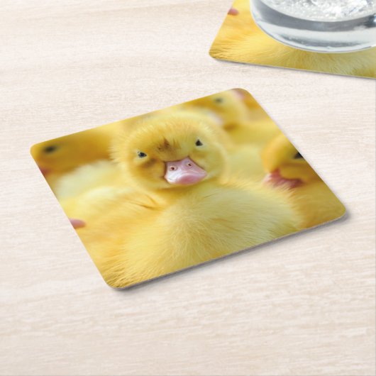 最も可愛い赤ん坊の動物 |ベビーダックグループ スクエアペーパーコースター (アングル)