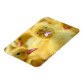 最も可愛い赤ん坊の動物 |ベビーダックグループ マグネット (左側)