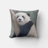 最も可愛い赤ん坊の動物 |ベビーパンダの眠り クッション (正面)