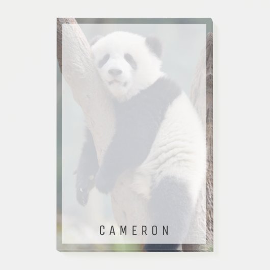 最も可愛い赤ん坊の動物 |ベビーパンダの眠り ポストイット (正面)