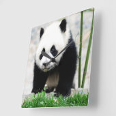 最も可愛い赤ん坊の動物 |ベビーパンダベア スクエア壁時計 (傾斜)