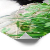 最も可愛い赤ん坊の動物 |ベビーパンダベア ポスター (角)