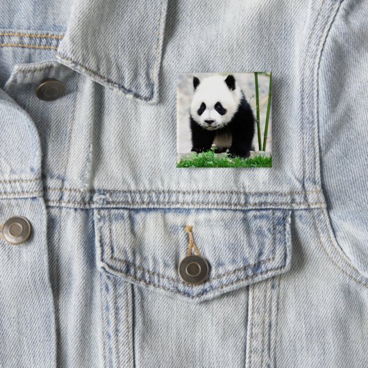 最も可愛い赤ん坊の動物 |ベビーパンダベア 缶バッジ (インサイチュ)