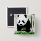 最も可愛い赤ん坊の動物 |ベビーパンダベア 缶バッジ (正面&裏面)