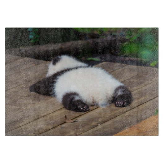 最も可愛い赤ん坊の動物 |ベビーパンダ眠り カッティングボード (正面)