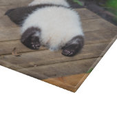 最も可愛い赤ん坊の動物 |ベビーパンダ眠り カッティングボード (角)