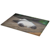 最も可愛い赤ん坊の動物 |ベビーパンダ眠り カッティングボード (角)