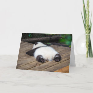最も可愛い赤ん坊の動物 ベビーパンダ眠り カード
