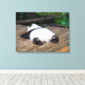 最も可愛い赤ん坊の動物 |ベビーパンダ眠り キャンバスプリント (インサイチュ (ウッドフロア))