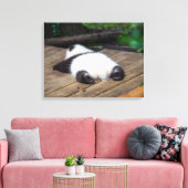 最も可愛い赤ん坊の動物 |ベビーパンダ眠り キャンバスプリント (インサイチュ (リビング))