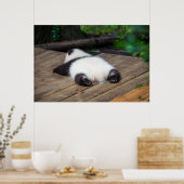 最も可愛い赤ん坊の動物 |ベビーパンダ眠り ポスター (キッチン)