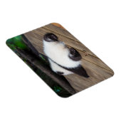 最も可愛い赤ん坊の動物 |ベビーパンダ眠り マグネット (右側)