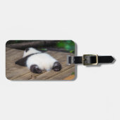 最も可愛い赤ん坊の動物 |ベビーパンダ眠り ラゲッジタグ (正面横)