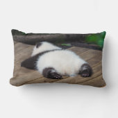 最も可愛い赤ん坊の動物 |ベビーパンダ眠り ランバークッション (正面)