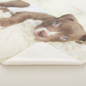 最も可愛い赤ん坊の動物 |ベビーピットブルパピー シェルパブランケット (3/4)