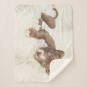 最も可愛い赤ん坊の動物 |ベビーピットブルパピー シェルパブランケット (正面)