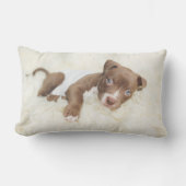 最も可愛い赤ん坊の動物 |ベビーピットブルパピー ランバークッション (正面)