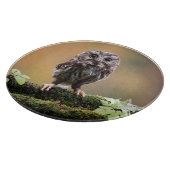 最も可愛い赤ん坊の動物 |ベビーフクロウ カッティングボード (角)