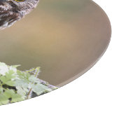 最も可愛い赤ん坊の動物 |ベビーフクロウ カッティングボード (角)