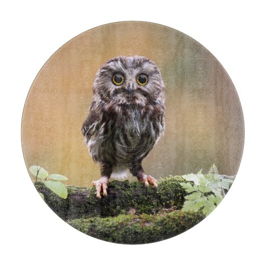 最も可愛い赤ん坊の動物 |ベビーフクロウ カッティングボード (正面)