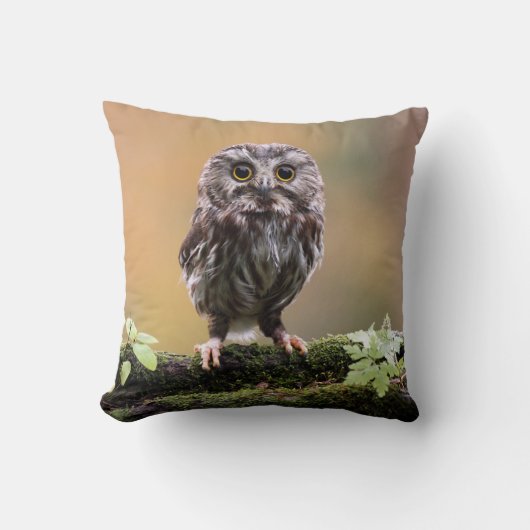 最も可愛い赤ん坊の動物 |ベビーフクロウ クッション (正面)
