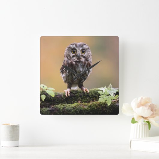 最も可愛い赤ん坊の動物 |ベビーフクロウ スクエア壁時計 (ホーム)