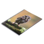 最も可愛い赤ん坊の動物 |ベビーフクロウ ノートブック (左側)