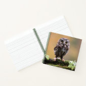 最も可愛い赤ん坊の動物 |ベビーフクロウ ノートブック (内部)