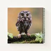 最も可愛い赤ん坊の動物 |ベビーフクロウ ノートブック (裏面)