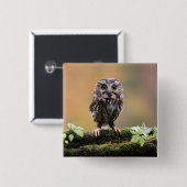 最も可愛い赤ん坊の動物 |ベビーフクロウ 缶バッジ (正面&裏面)