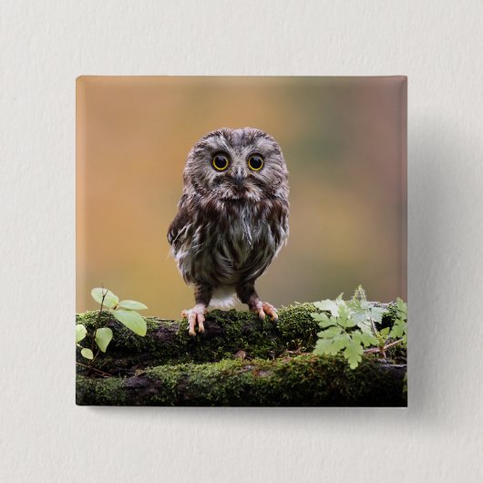 最も可愛い赤ん坊の動物 |ベビーフクロウ 缶バッジ (正面)